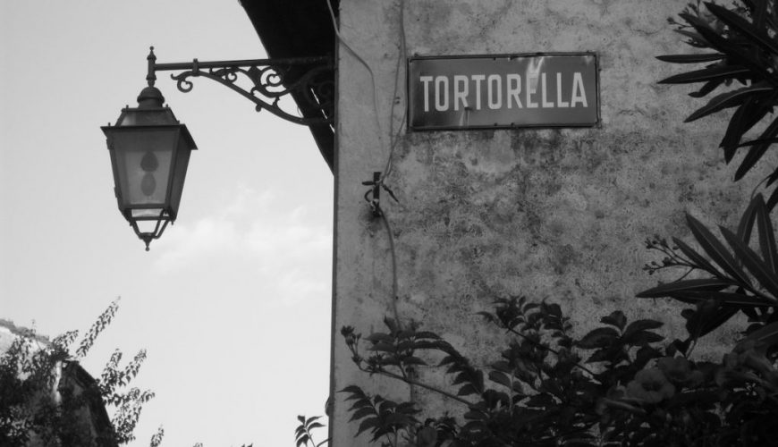 Dove abitano le emozioni